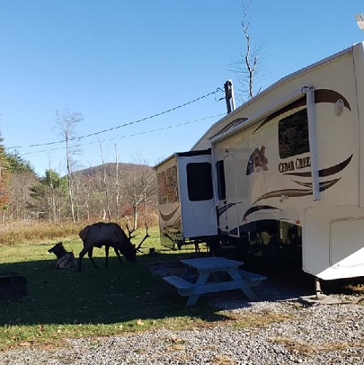 benezette campgrounds campground